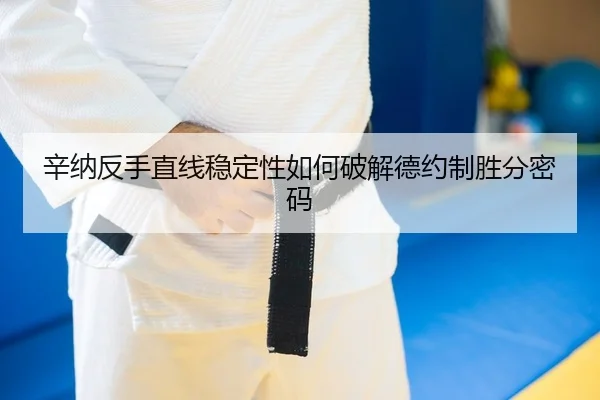 xin-na-fan-shou-zhi-xian-wen-ding-xing-ru-he-po-jie-de-yue-zhi-sheng-fen-mi-ma-2-370.jpg